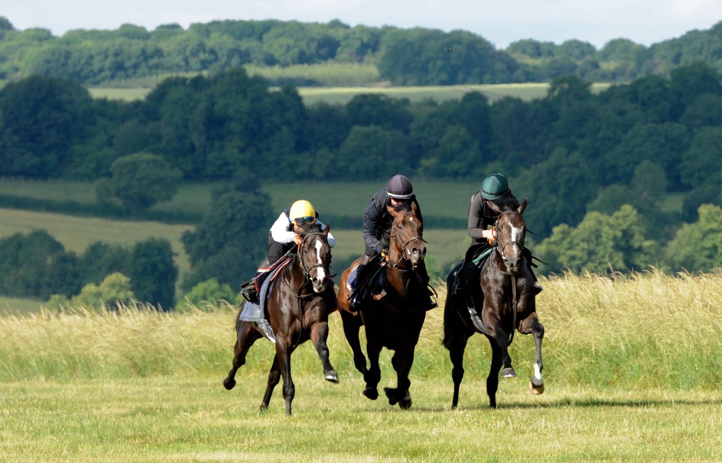 Oliver Cole Racing — Whatcombe Stables website